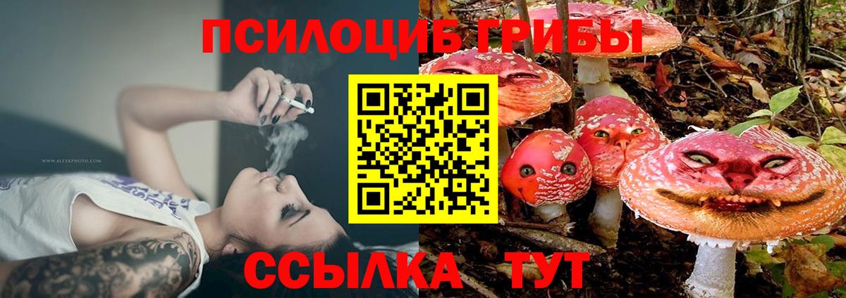 Псилоцибиновые грибы мицелий  Вход с VPN  Галлюциногенные грибы MAGIC MUSHROOMS  Чехов 
