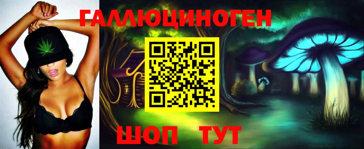 Псилоцибиновые грибы Cubensis Чехов